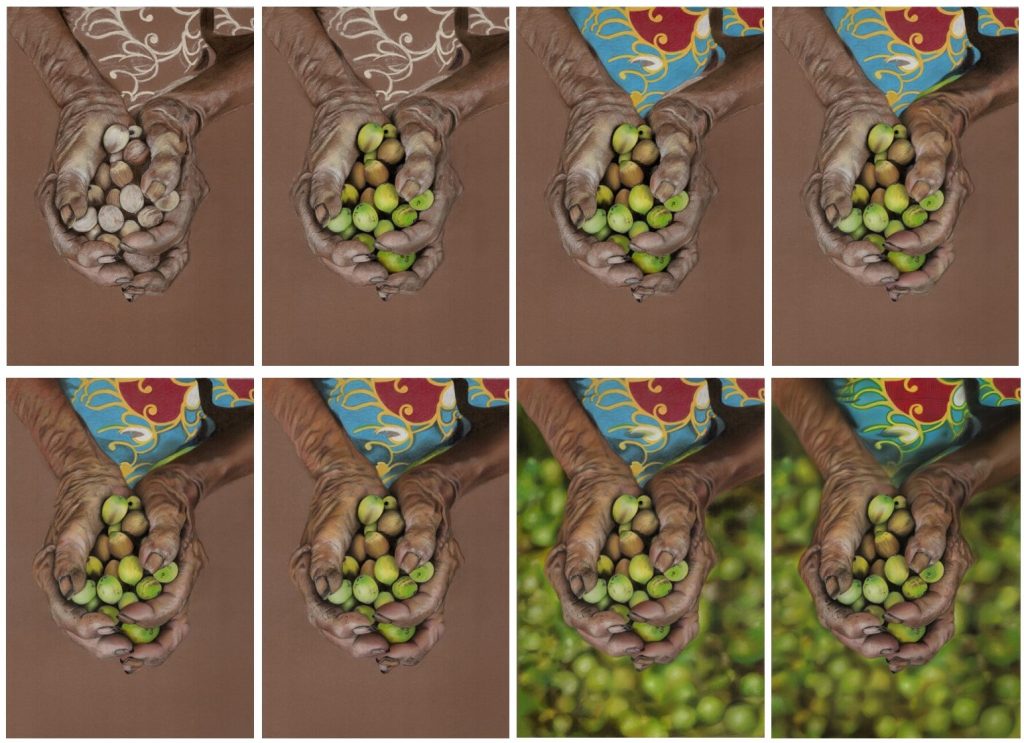 Eight equally sized images on a page. Eight stages of progress from a monochrome sketch to full colour finished drawing. An ariel view of two brown hands reaching forward, cupping green lotus seeds. Bellow the hands are many out of focus lotus seeds. Fine art pastel portrait drawing painting by Tamsin Dearing the artist, in Cornwall.